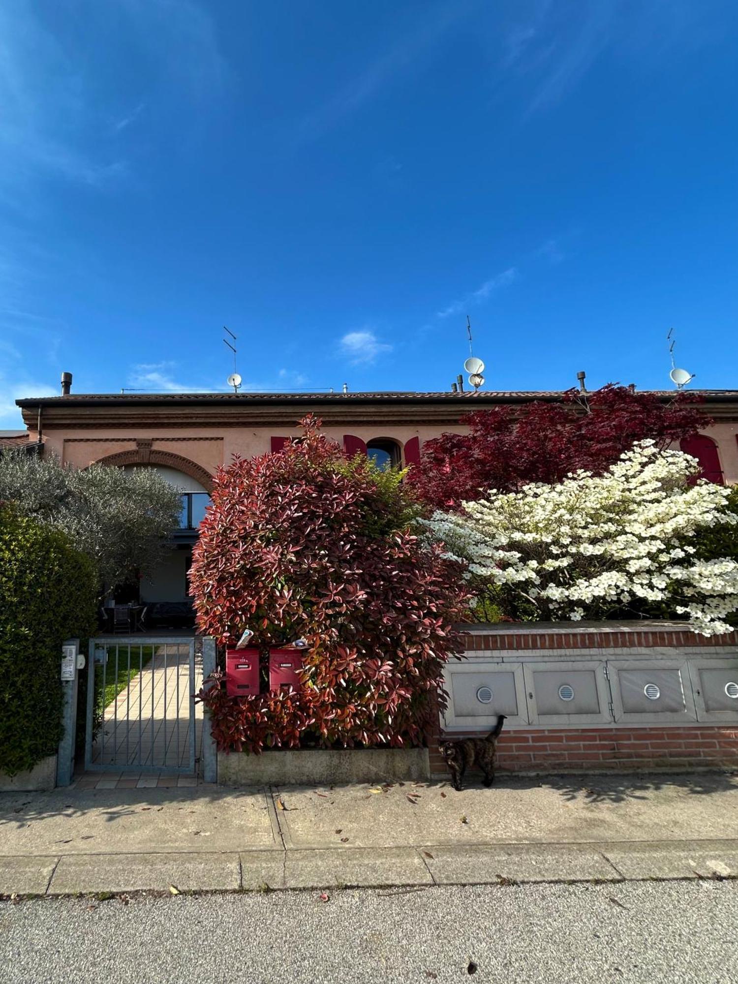 Soranza Suite Castelfranco Veneto Dış mekan fotoğraf